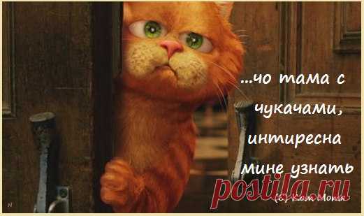 Блог Кота Моти.
отчаво никаму ни интиресна чо тама с нашыми чукчами ? Можыт у их олени болеют или ещо чаво, а у нас одни кедми мышралаимския ф теликах про кедмяф киевлянских рассказуют да про кедмяф европейских...а с чукчами тама чо у нас ваще ...?