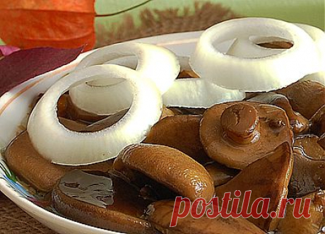 Как замариновать грибы на зиму. Вкусные маринованные грибы. | Вкусно своими руками