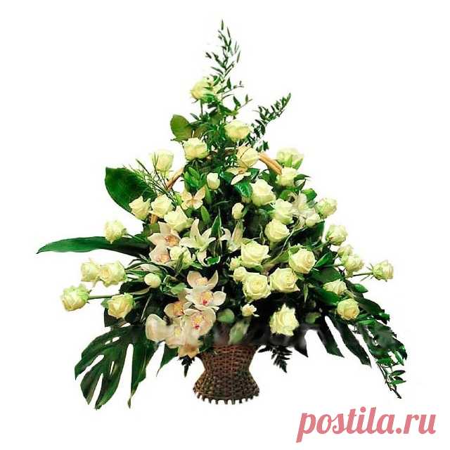 Заказать Афродита c доставкой по Краснодару