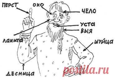 СЛОВА, КОТОРЫЕ МЫ ЗАБЫЛИ