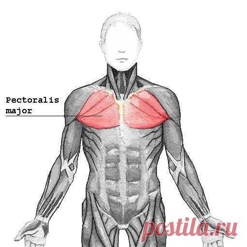 Одноклассники