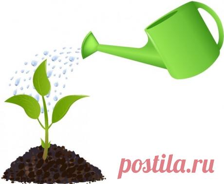 ВСЯ ПРАВДА О СТИМУЛЯТОРАХ РОСТА РАСТЕНИЙ
Какие стимуляторы бывают

• Сок алоэ.
Мжет быть использован для замачивания семян баклажана, капусты и салата, но не годится для обработки семян перца, луков, сельдерея и тыквенных культур. Для замачивания используют неразбавленный сок алоэ, полученный из трехлетних или еще более старых листьев, имеющих интенсивную зеленую окраску.

Не подойдут посветлевшие или пожелтевшие листья и листья с сухими кончиками. У многолетнего растения ...