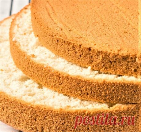 Бисквитоведение: технология, пропорции, полезные советы | 🍰 Выпечка без секретов | Яндекс Дзен