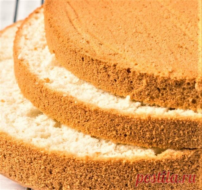 Бисквитоведение: технология, пропорции, полезные советы | 🍰 Выпечка без секретов | Яндекс Дзен