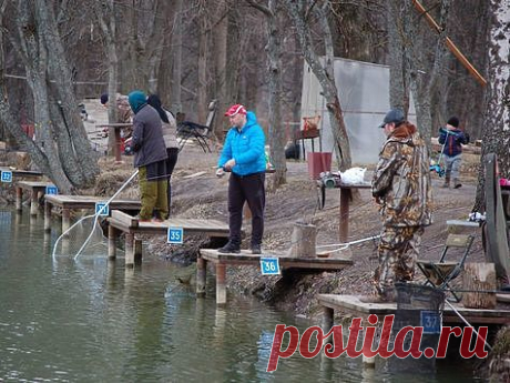 Форелевые колебалки – тема для коллекционера  
Охотники за радужной форелью на платных водоемах в обязательном порядке имеют в своем арсенале небольшие колеблющиеся блесны. Не секрет, что в одни дни рыба предпочитает воблеры, в другие дни всевоз…