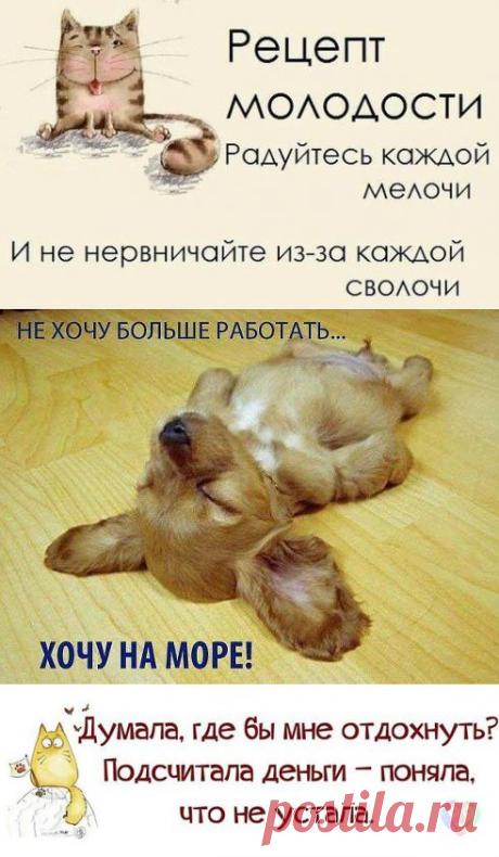 Интересные новости