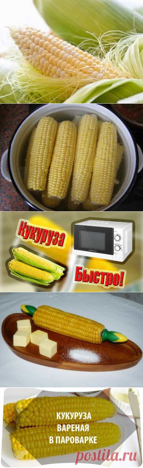 Как варить кукурузу – способы приготовления | Megapoisk.com