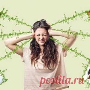 Эффективный заговор приструнит шумных соседей. - МирТесен