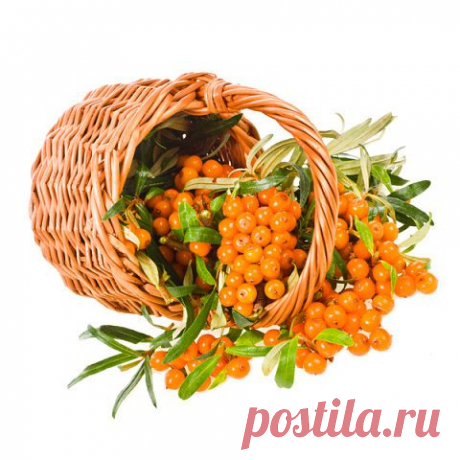(4) Одноклассники