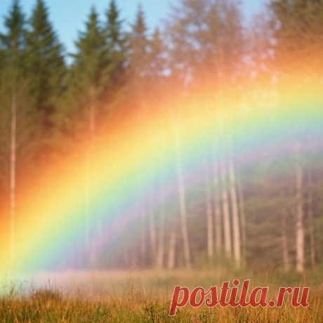 [тест] Выбери радугу, а я скажу, что тебя может порадовать прямо сейчас — Тесты | Тебя порадует отдых
Иногда радость — это просто пауза. Ты сможешь наконец расслабиться и почувствовать, что жизнь прекрасна даже в простых моментах.