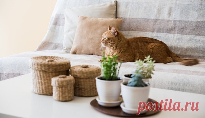 Простые впечатляющие идеи для дома | Наши дома