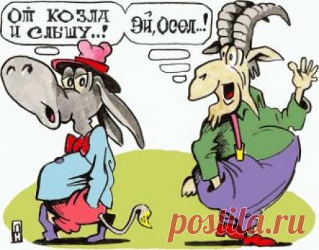 Способ борьбы с хамством — Убойный юмор - amworld