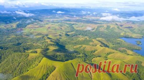 Оппозиция выдвинула вотум недоверия премьеру Папуа — Новой Гвинеи