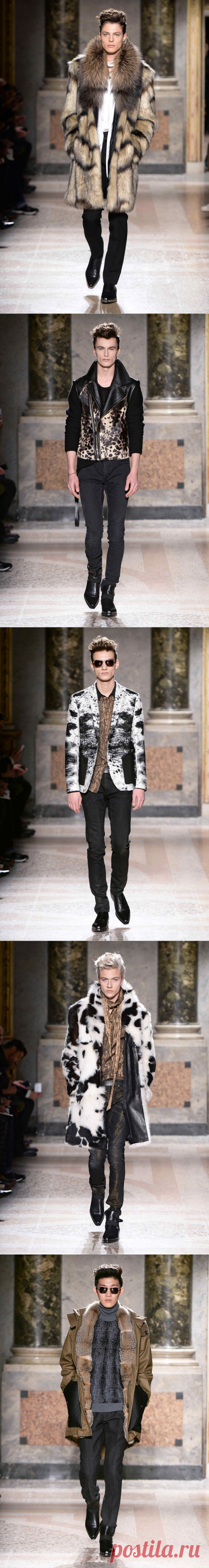 Men's Fashion Show FW1516 - Roberto Cavalli