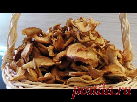Рецепты заготовок из яблок на зиму