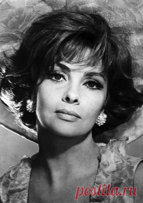 Gina Lollobrigida