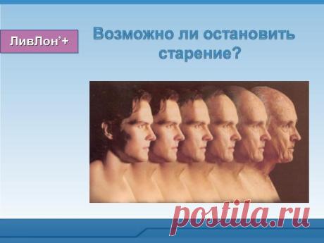С Ливлоном можно остановить старение