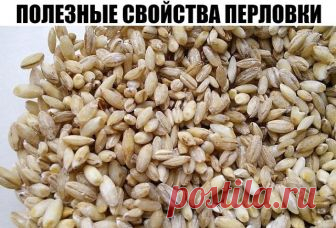 ПОЛЕЗНЫЕ СВОЙСТВА ПЕРЛОВКИ
Перловая каша или отвар используются для выведения из организма токсинов. Для полноценного очищения необходимо употреблять перловую крупу практически ежедневно. Постепенно нормализуется работа желудочно-кишечного тракта, обмен веществ, поэтому перловую кашу можно отнести к диетическим блюдам.
Перловка считается продуктом, помогающим справиться с симптомами аллергии, благодаря аминокислотам, которые уменьшают восприимчивость организма к аллергенам...
