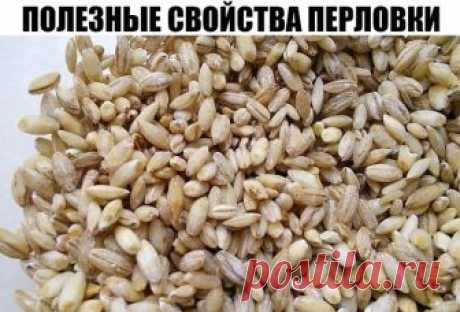 ПОЛЕЗНЫЕ СВОЙСТВА ПЕРЛОВКИ
Перловая каша или отвар используются для выведения из организма токсинов. Для полноценного очищения необходимо употреблять перловую крупу практически ежедневно. Постепенно нормализуется работа желудочно-кишечного тракта, обмен веществ, поэтому перловую кашу можно отнести к диетическим блюдам.
Перловка считается продуктом, помогающим справиться с симптомами аллергии, благодаря аминокислотам, которые уменьшают восприимчивость организма к аллергенам...