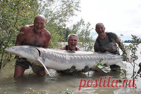 Интересные новости Вот это рыбалка!!!!