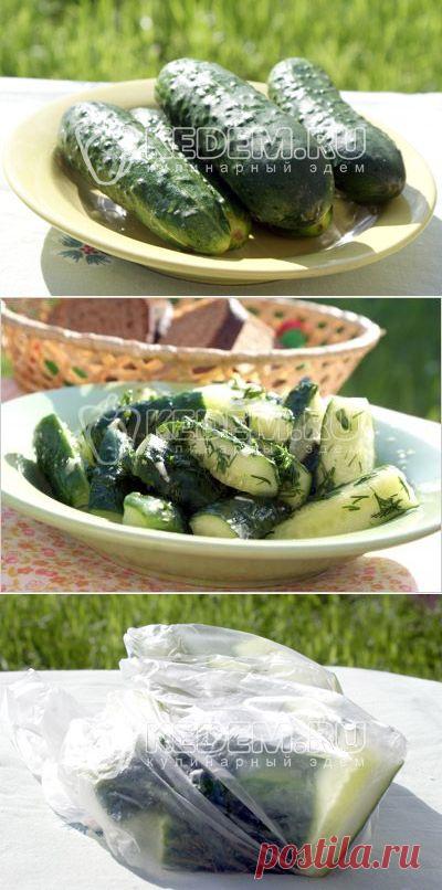 Быстрые малосольные огурцы - Закуски. Закуски из грибов и овощей