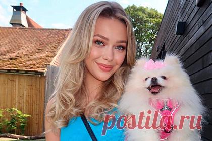 Модель потратила около 700 тысяч рублей на брендовую одежду для собак. Жительница английского города Ашфорд, графство Кент, 20-летняя модель Лорен Найт потратила семь тысяч фунтов стерлингов и купила своим померанским шпицам не менее 400 вещей. У животных даже есть собственный гардероб, в котором можно встретить дизайнерские вещи от брендов Gucci и Louis Vuitton.