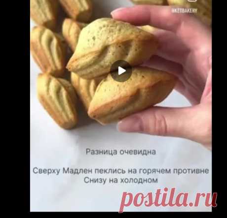 Скриншот-25-09-2025 20:21:45.jpg