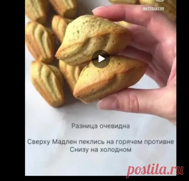 Скриншот-25-09-2025 20:21:45.jpg