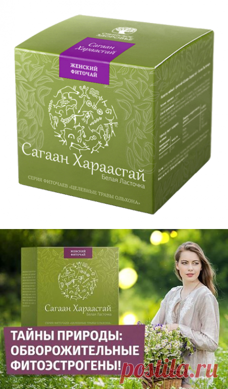 ФИТОЧАЙ САГААН ХАРААСГАЙ — Портал Здоровья Сибирского