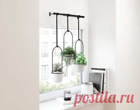 Необычные кашпо с Amazon