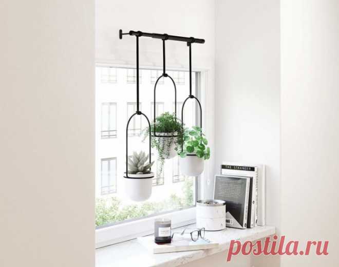 Необычные кашпо с Amazon