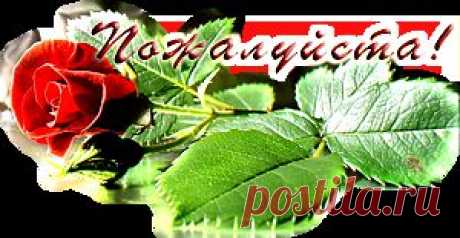 = Эдуард Асадов. =Короткой строкой=.