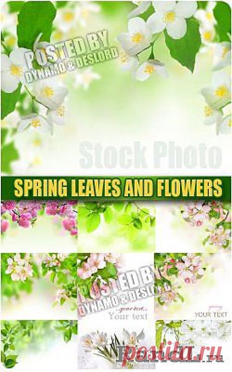 Весенние листья и цветы - Растровый клипарт » RandL.ru - Все о графике, photoshop и дизайне. Скачать бесплатно photoshop, фото, картинки, обои, рисунки, иконки, клипарты, шаблоны.