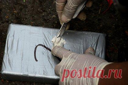 Власти США направили 50 миллиардов долларов на борьбу с наркоманией. США выделили 50 миллиардов долларов на помощь пострадавшим от приема опиатов и борьбу с их распространением, пишет The Independent. «Мы должны создавать сообщества, ориентированные на восстановление, которые поддерживают людей», — заявила глава отдела по борьбе с наркоманией округа Ханкок штата Мэн Пресиа Стуби.