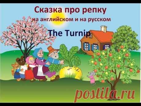 Сказка Репка на английском и на русском | The Turnip - YouTube