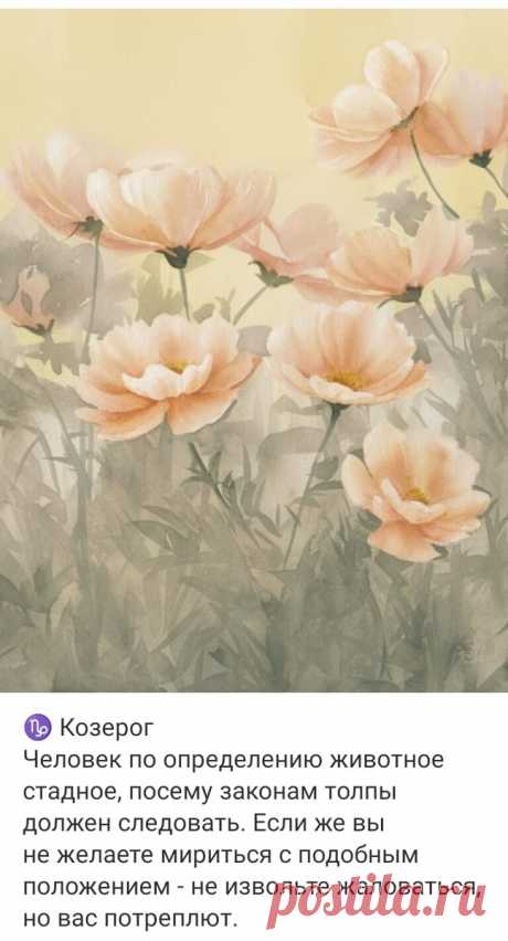 Ежедневный гороскоп - 23 июня 2024 | Hand-made заметки от Мерлеттки | Дзен