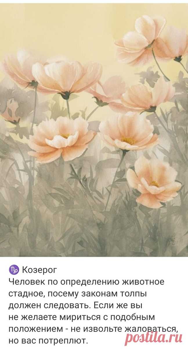 Ежедневный гороскоп - 23 июня 2024 | Hand-made заметки от Мерлеттки | Дзен