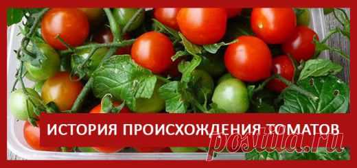 Маринование огурцов и томатов - TEPLICHNIKI.RU | ВЫРАЩИВАНИЕ ОГУРЦОВ И ТОМАТОВ В ТЕПЛИЦЕ