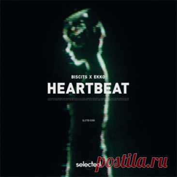 Biscits, Ekko - Heartbeat | 4DJsonline.com