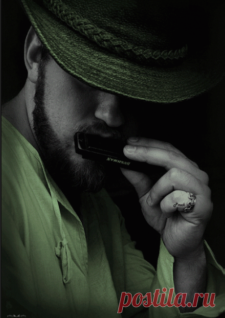 Beautiful colorful pictures and Gifs: Green