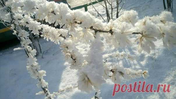 Дөнья матур, матур итеп гомер итсәң!(Фатхулова Г.)