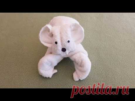 коала