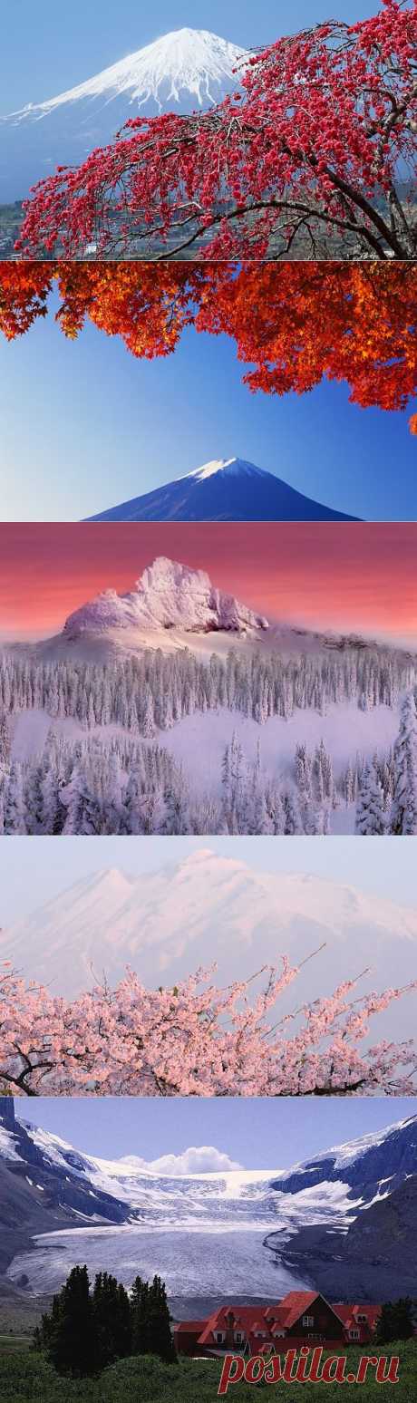 Заснеженные горы.
