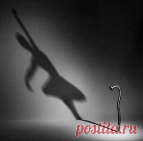Короля ищет Служанка, а Королеву ищет Нарцисс
 
Мечта о достойном спутнике жизни разрушила немало грёз тех, кто не отважился себя поднять до уровня соискателя.