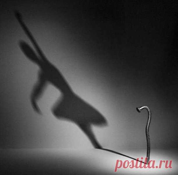 Короля ищет Служанка, а Королеву ищет Нарцисс
 
Мечта о достойном спутнике жизни разрушила немало грёз тех, кто не отважился себя поднять до уровня соискателя.