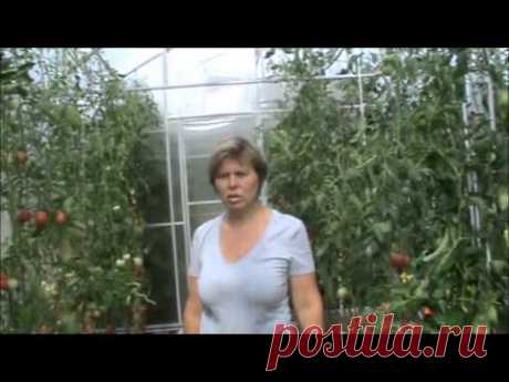 Практика природного земледелия 10 лет! Марина Дорофеева