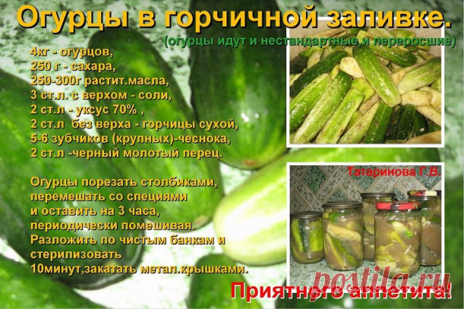 погребок | 37 фотографий