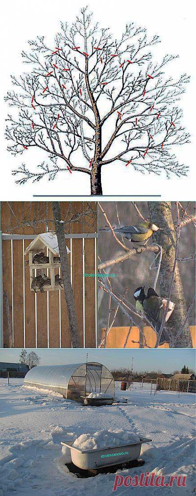 Весенние работы в саду | Строим своими руками