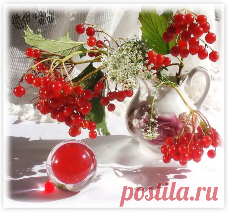 калина