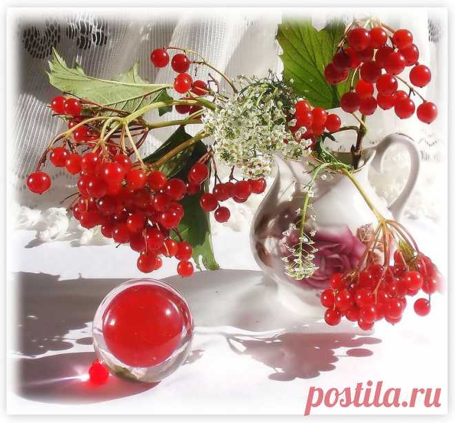 калина